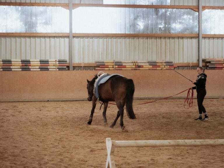 Bygg en stark helkropp på 20 minuter om dagen – enkelt upplägg hemma — Träning