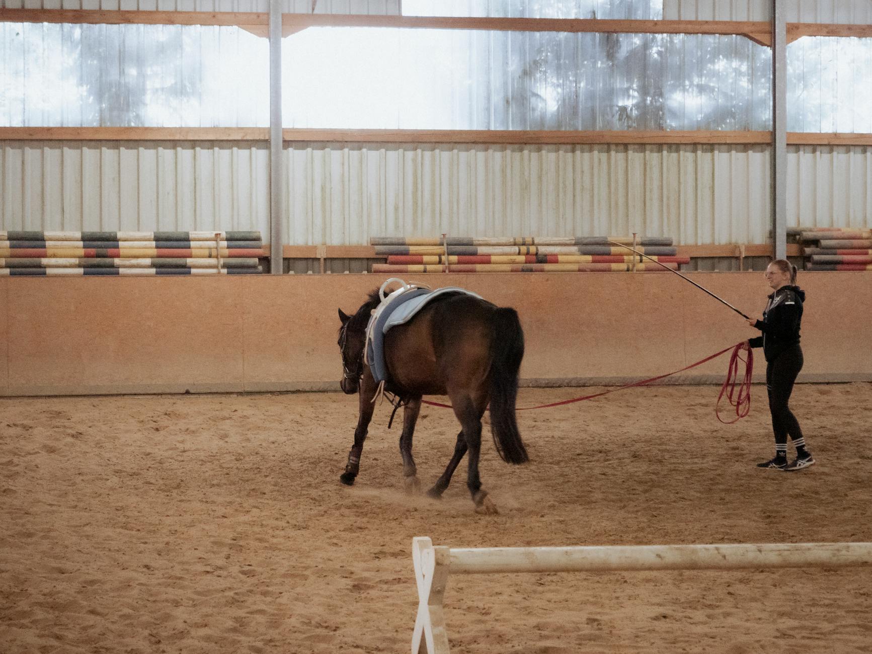 Bygg en stark helkropp på 20 minuter om dagen – enkelt upplägg hemma — Träning