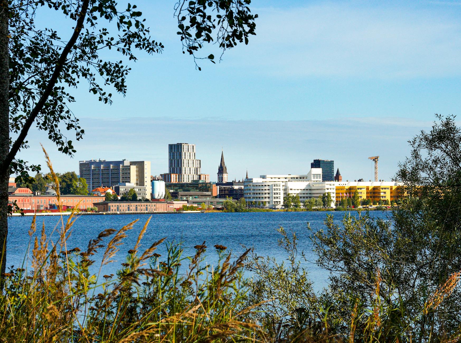 Vilka AI-lösningar finns det för HR- och rekryteringsbranschen? — AI lösningar