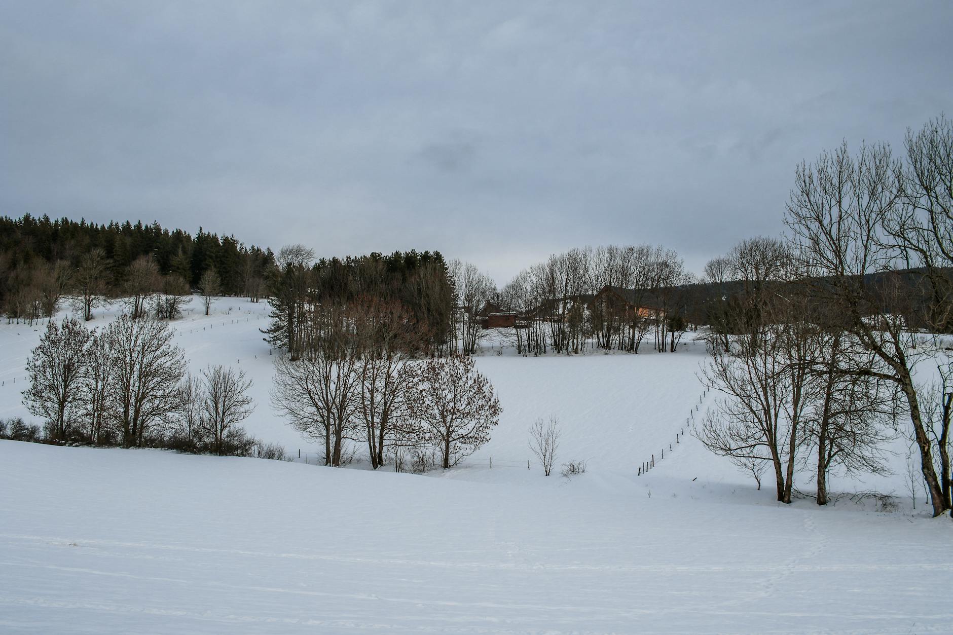 En kväll av återvändo