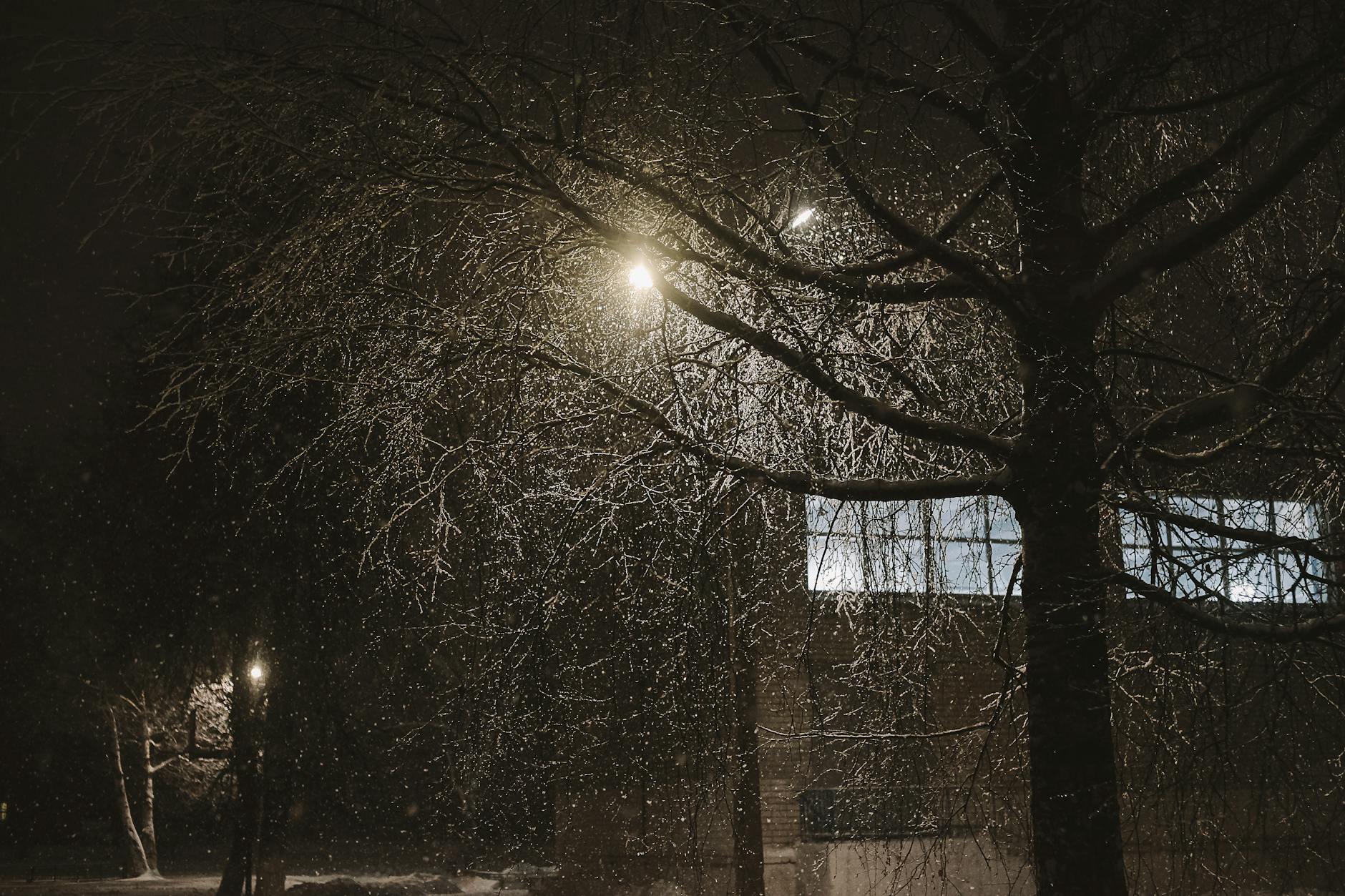 Krossade Löften slide 8