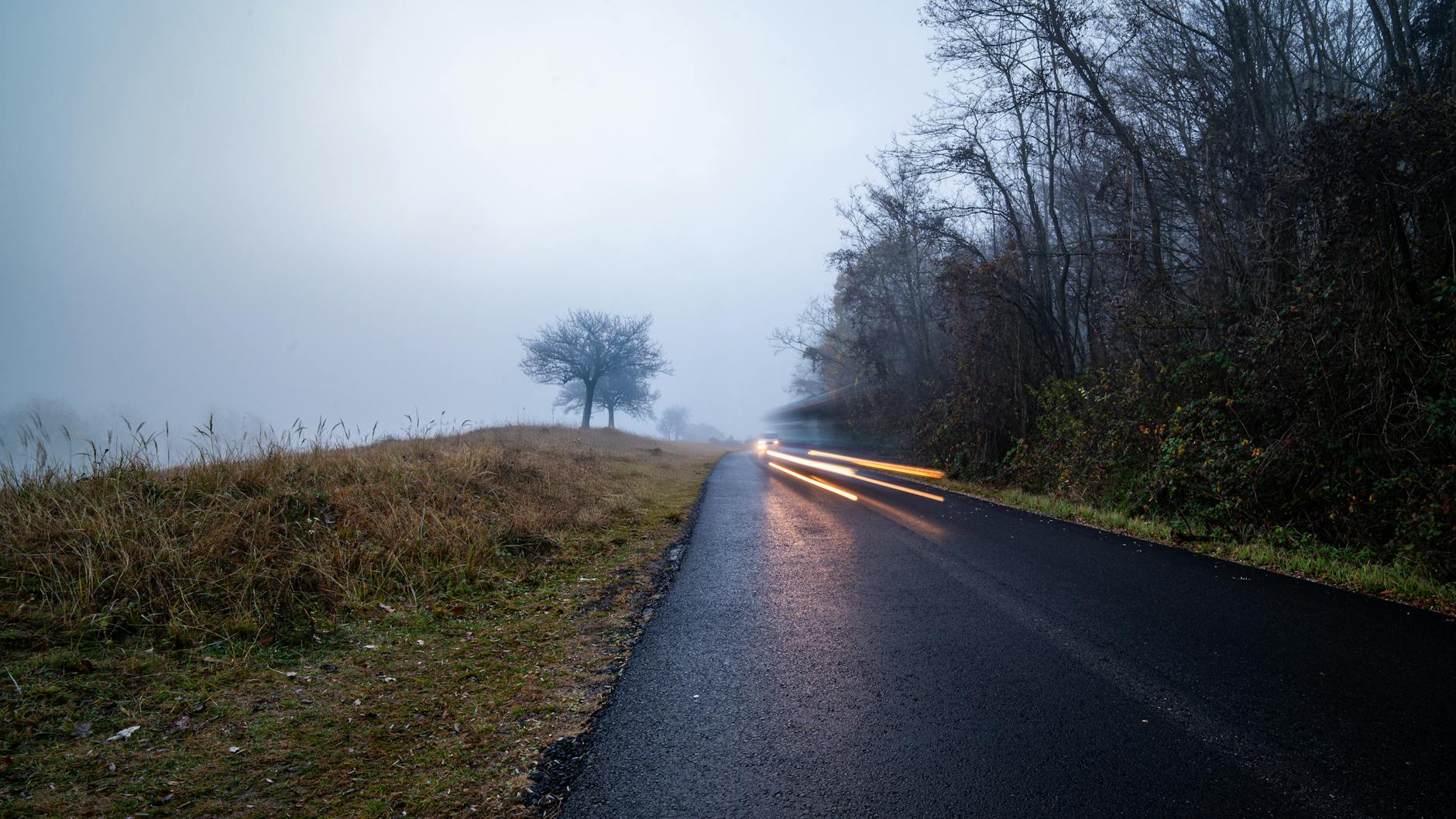 Under Neonljusets Skugga slide 8