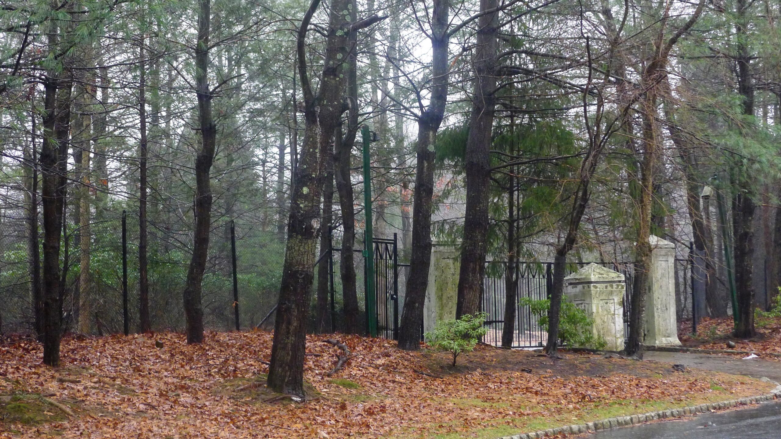 Whitney Houston photo