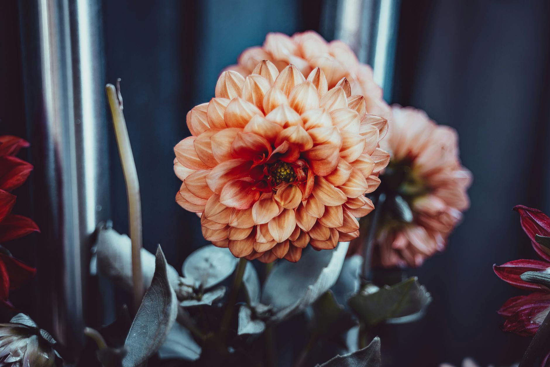 Idag gratulerar vi Urban! — Blommor, firande, namnsdag, Sverige, Urban