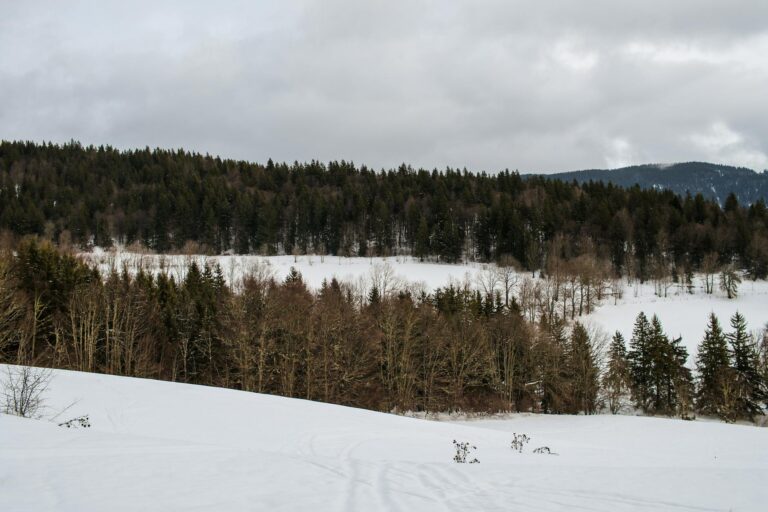 En förlorad väg