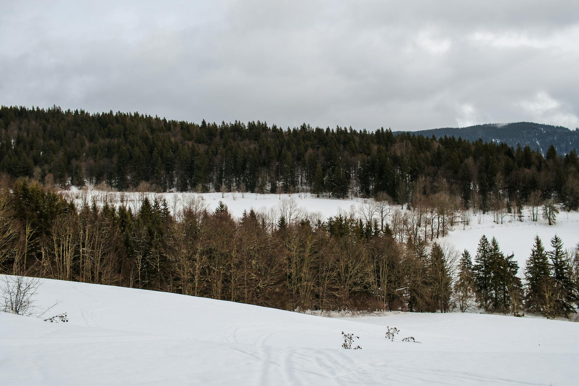 En förlorad väg