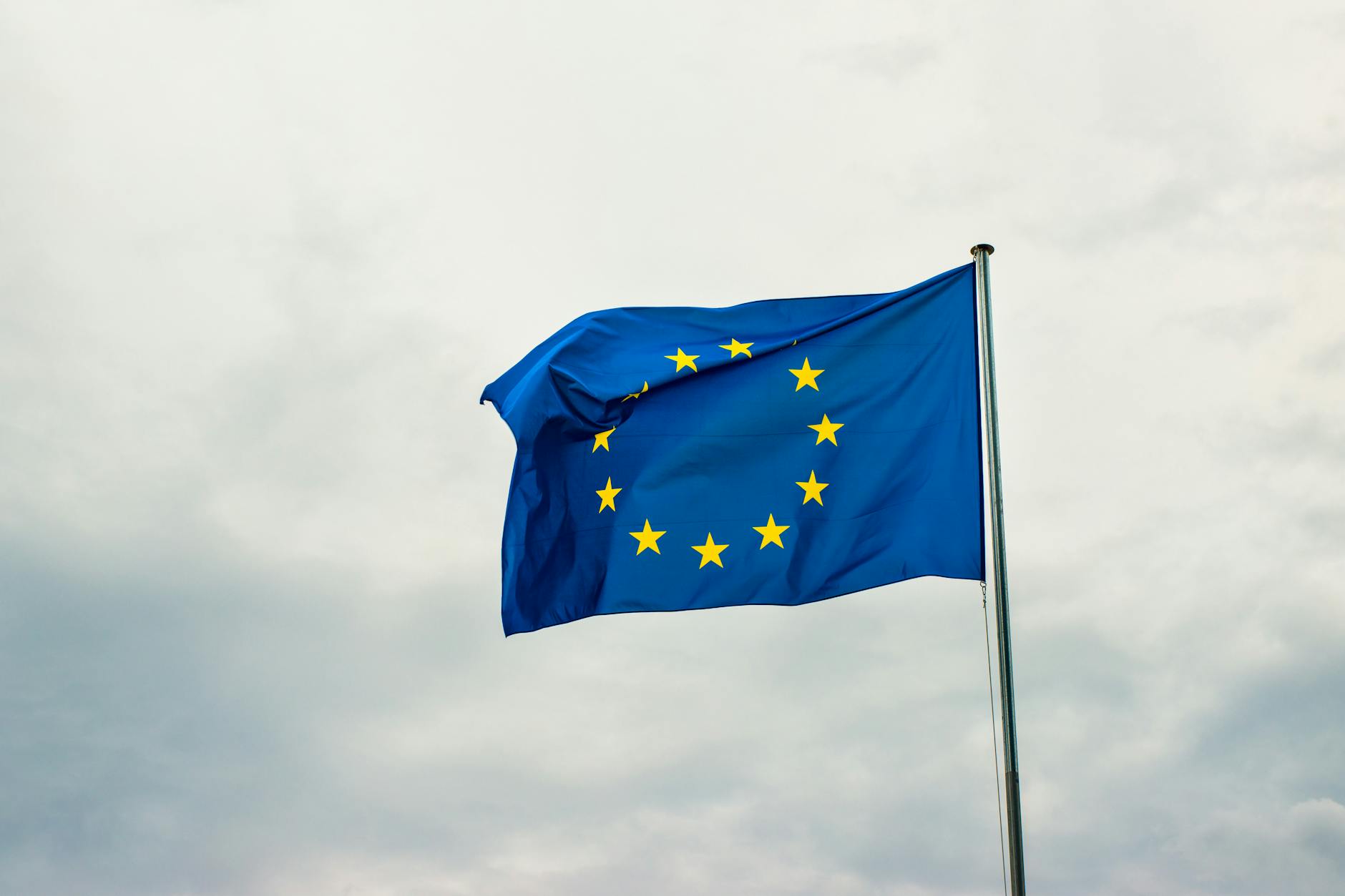 Internetanvändning i Europa: En Statistisk Översikt — Europeisk statistik