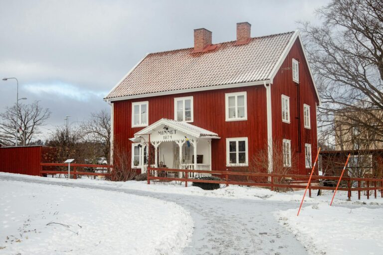 Avskavda minnen